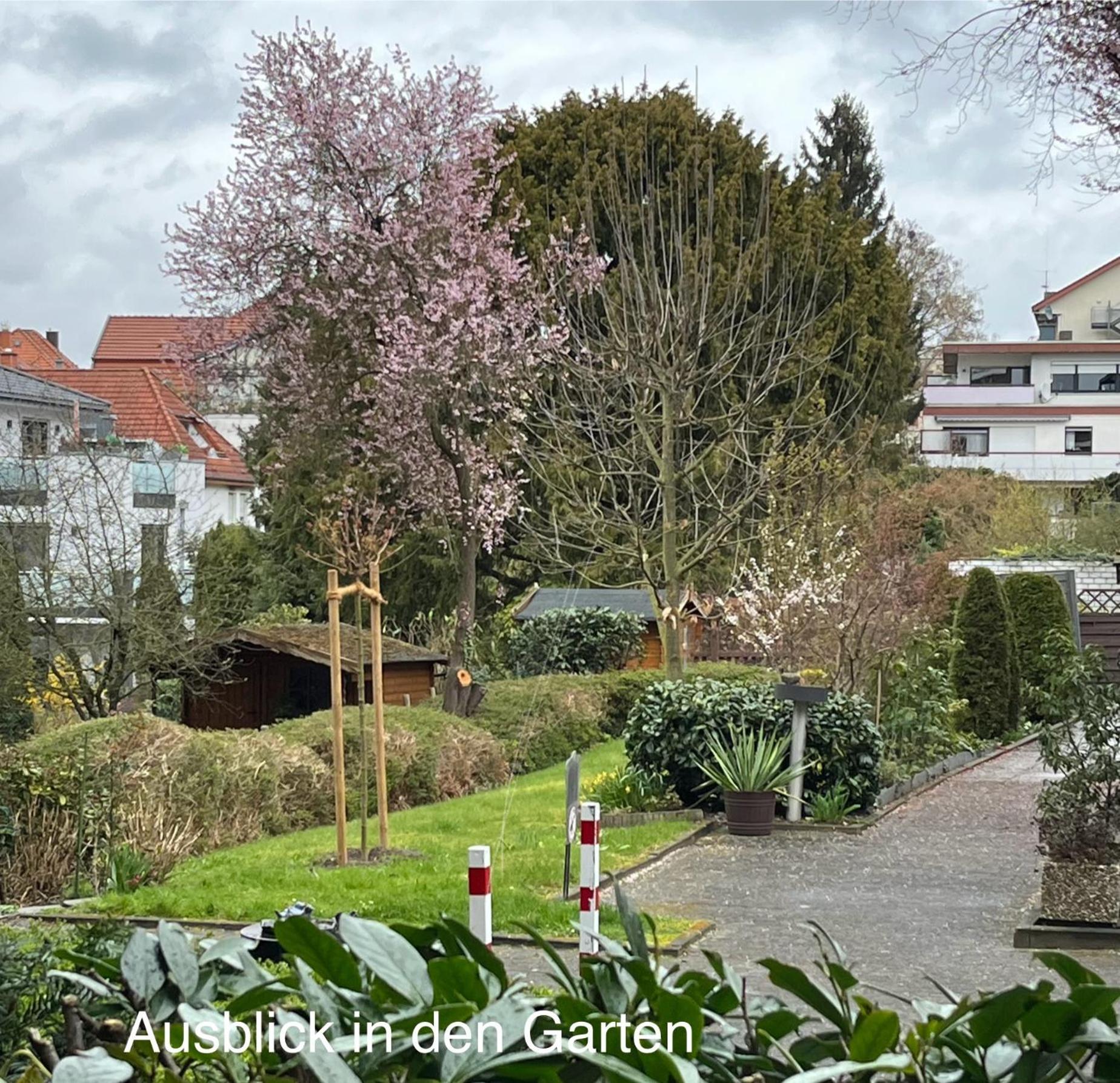 Appartementresidenz Am Kurpark - Ferienwohnungen Mit Pool & Sauna & Garage Bad Salzuflen Oda fotoğraf
